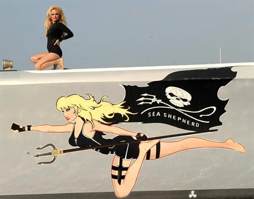 Pamela Anderson Launches Sea Shepherds Operation Zero Tolerance Whale Defense Campaign on November 2, 2012 