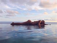 Bryana Holly in a bikini