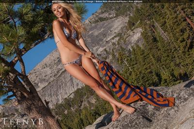 Aspen Brandy Lea in a bikini