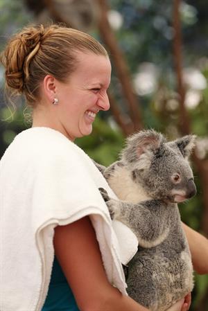 Petra Kvitova Holds a Koala during a visit to the Lone Pine Koala Sanctuary December 28, 2012 