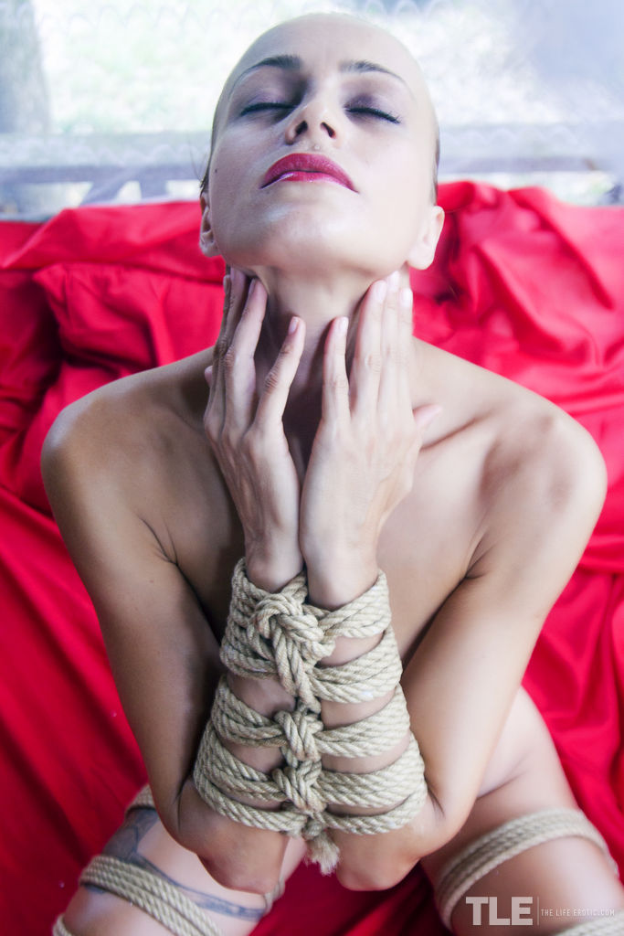 Lesma in  Can't Resist  for The Life Erotic