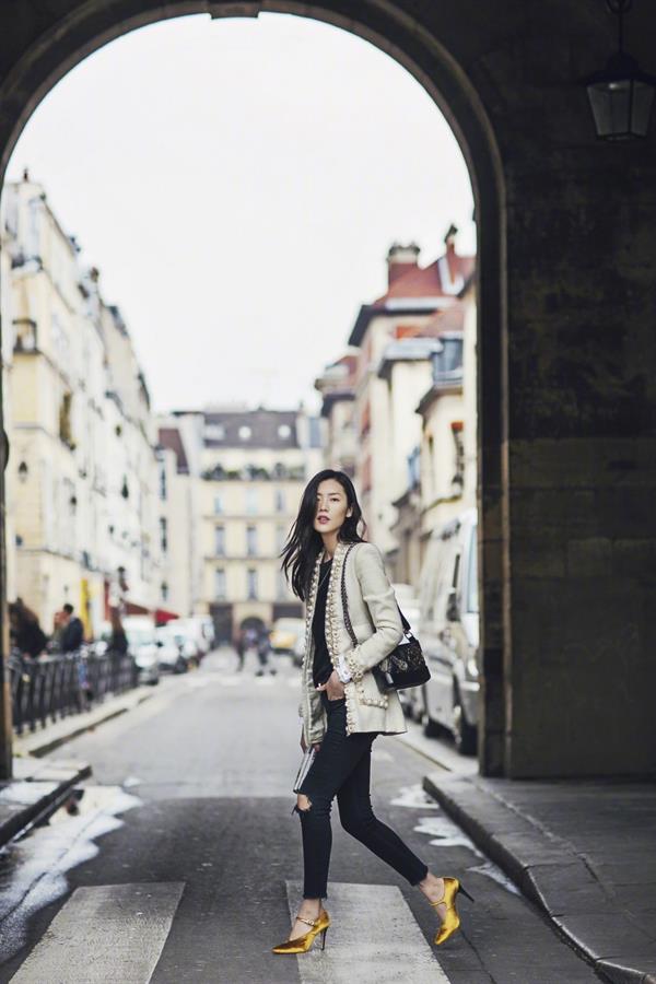 Liu Wen