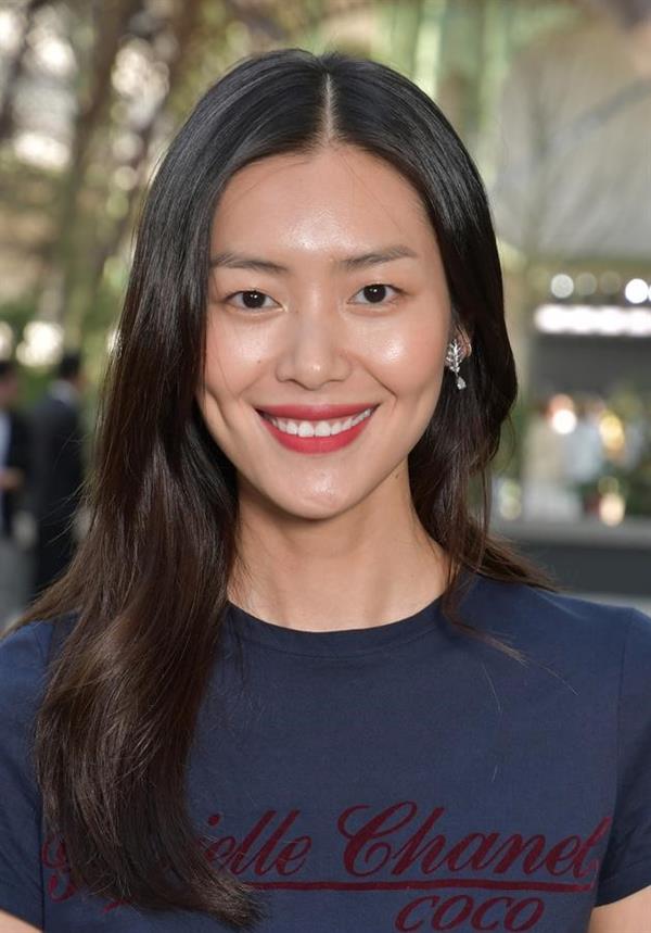 Liu Wen