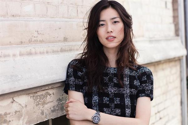 Liu Wen