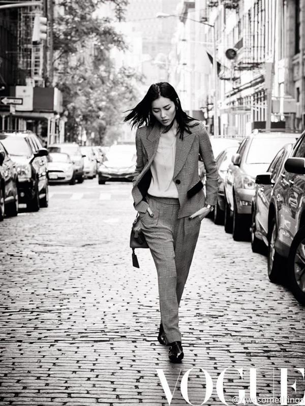 Liu Wen