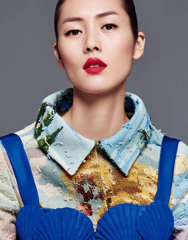 Liu Wen