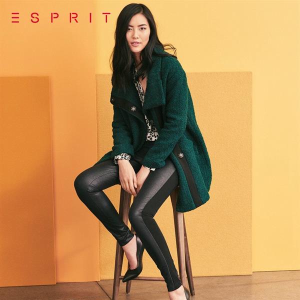 Liu Wen