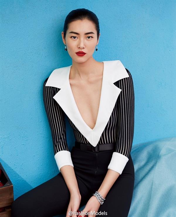 Liu Wen