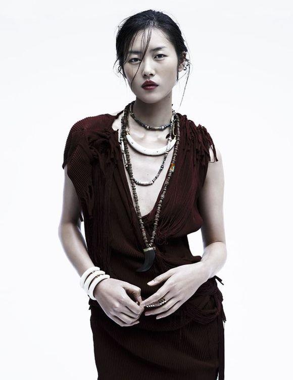 Liu Wen