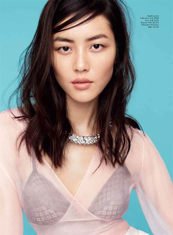 Liu Wen