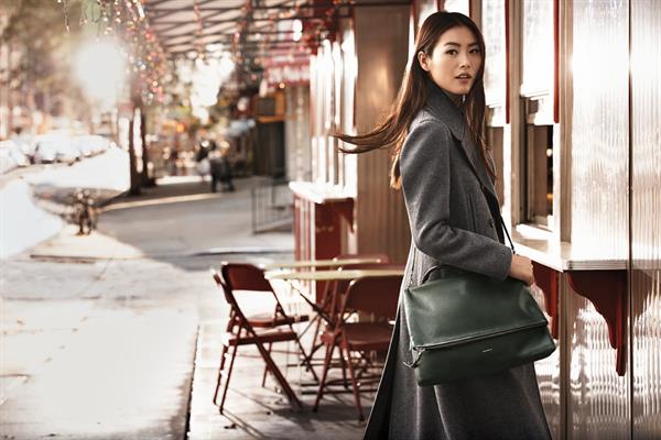 Liu Wen