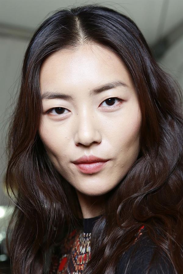 Liu Wen