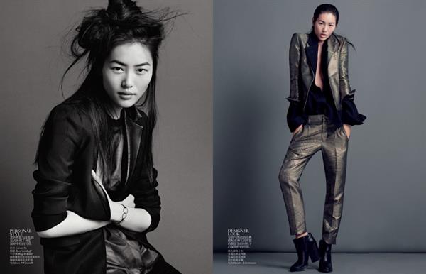 Liu Wen