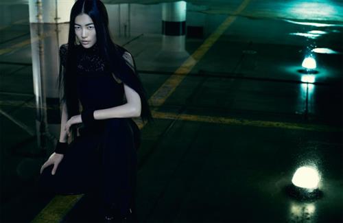 Liu Wen