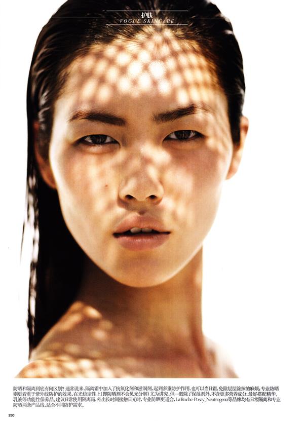 Liu Wen