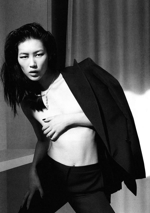 Liu Wen