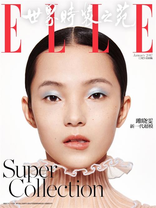 Xiao Wen Ju