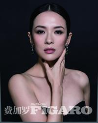 Zhang Ziyi