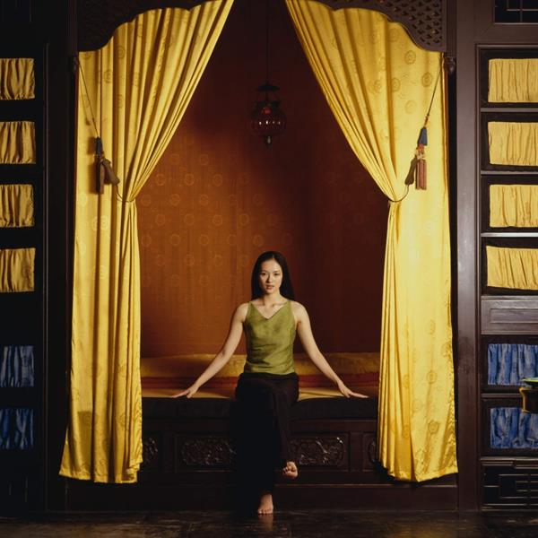 Zhang Ziyi