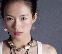 Zhang Ziyi