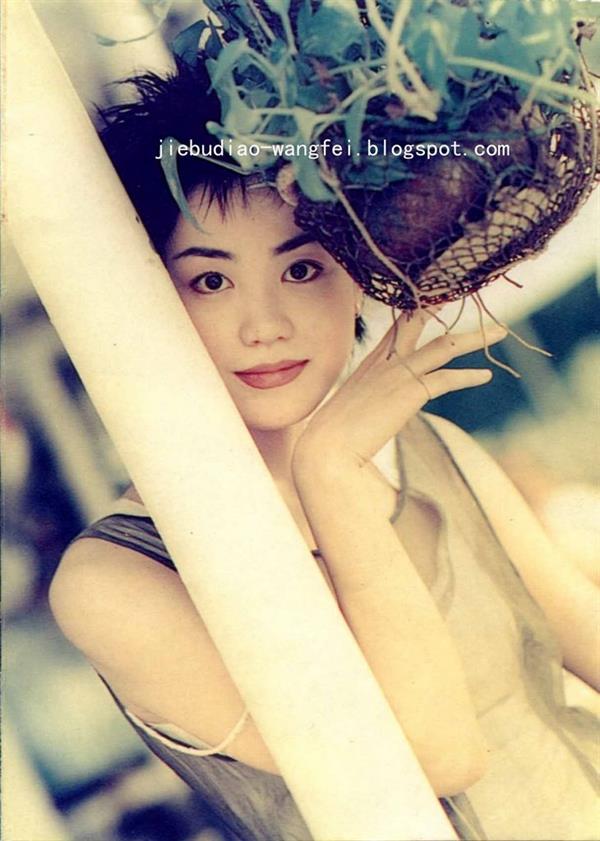 Faye Wong