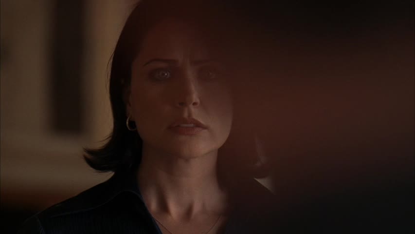 Rena Sofer