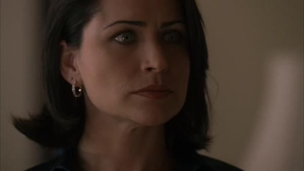 Rena Sofer