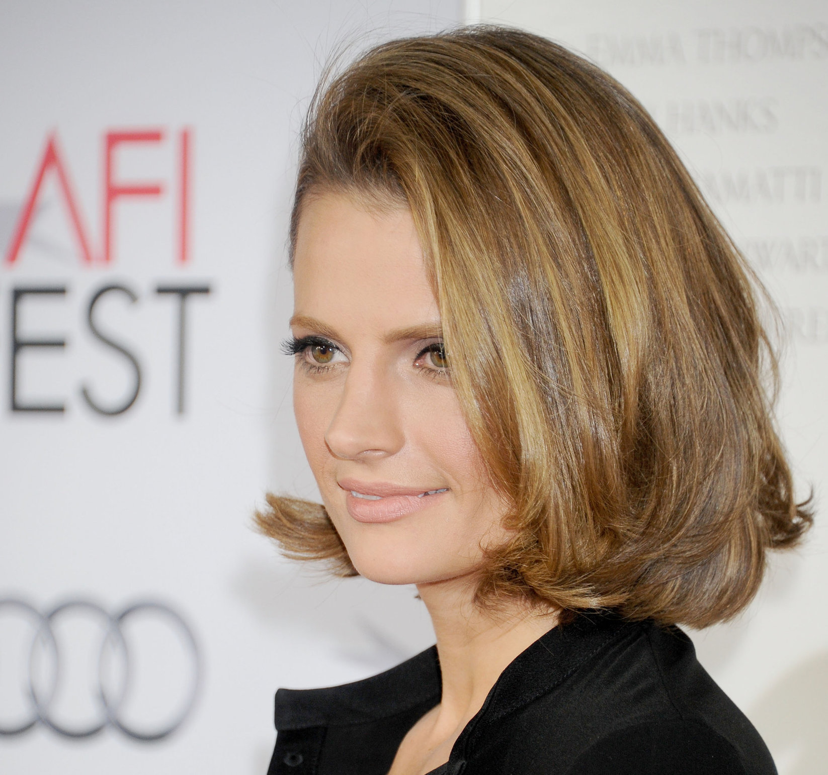 Stana Katic  Saving Mr. Banks  Premiere at AFI FEST 2013 - Hollywood, Nov. 7, 2013 