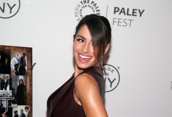 Sarah Shahi  Person of Interest  panel during 2013 PaleyFest: Made In New York on Oct. 3, 2013