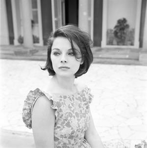 Virna Lisi Divers Pics Pic with Marcello Mastroianni 