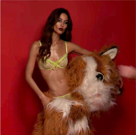 Lily Aldridge in lingerie