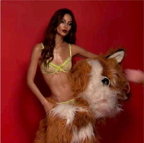 Lily Aldridge in lingerie