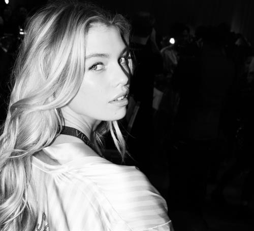 Stella Maxwell