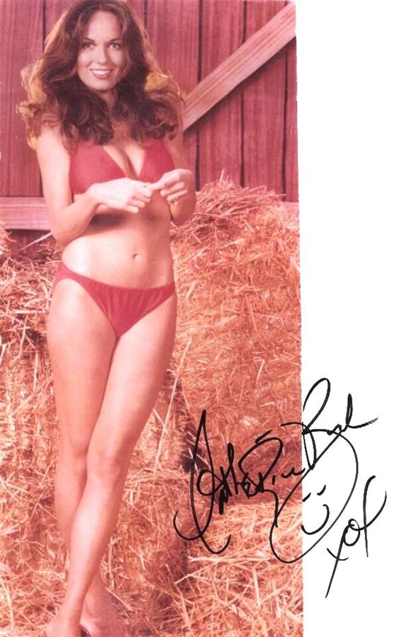 Catherine Bach in a bikini