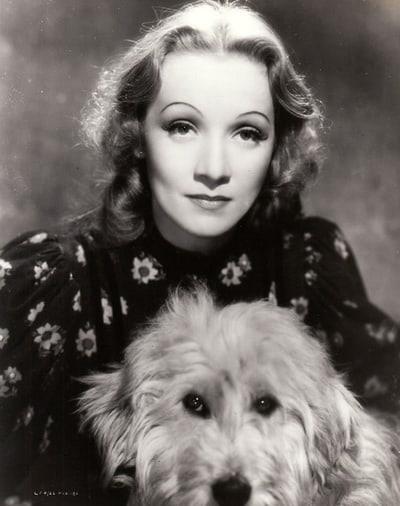 Marlene Dietrich