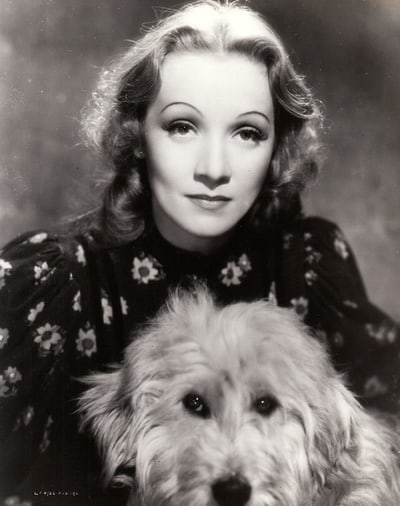 Marlene Dietrich