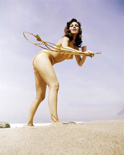 Raquel Welch in a bikini