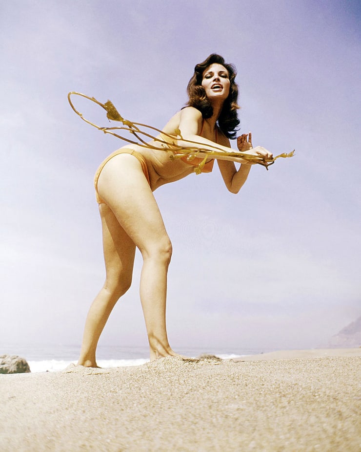 Raquel Welch in a bikini