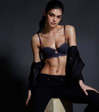 Lauren Layne in lingerie