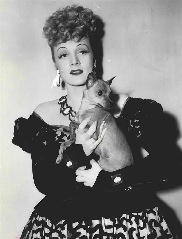 Marlene Dietrich