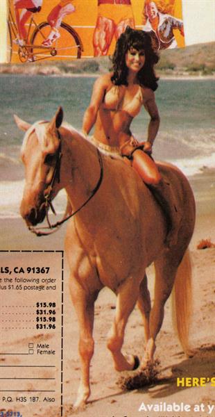 Rachel McLish in a bikini