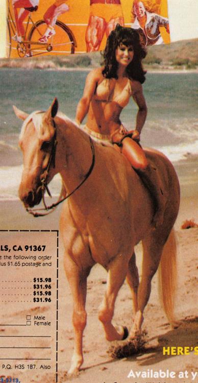 Rachel McLish in a bikini