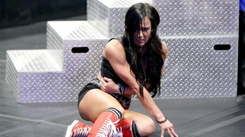 AJ Lee