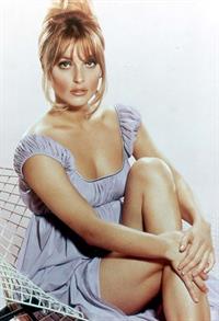 Sharon Tate