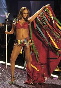 Tyra Banks in lingerie