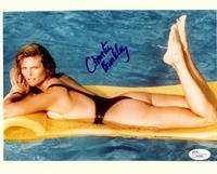Christie Brinkley in a bikini