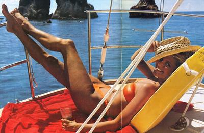 Christie Brinkley in a bikini