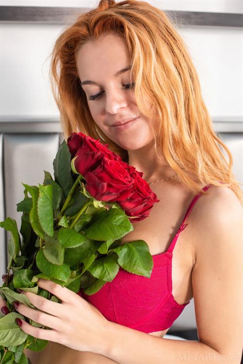 Ingrid Lingerie Pictures Ingrid Fun with a Rose