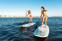 Gal Gadot in a bikini