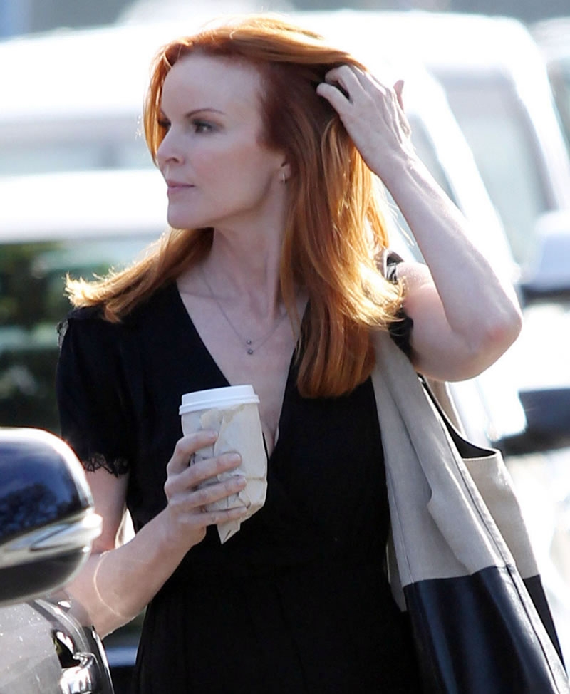 Marcia Cross Pictures.